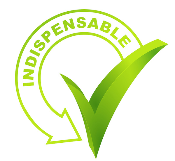 se rendre indispensable